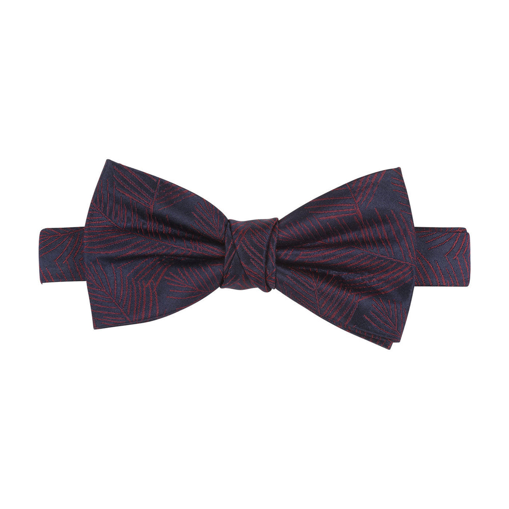 La Boutique De L'Image Primaire