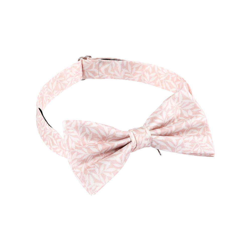 Boutique Image Secondaire