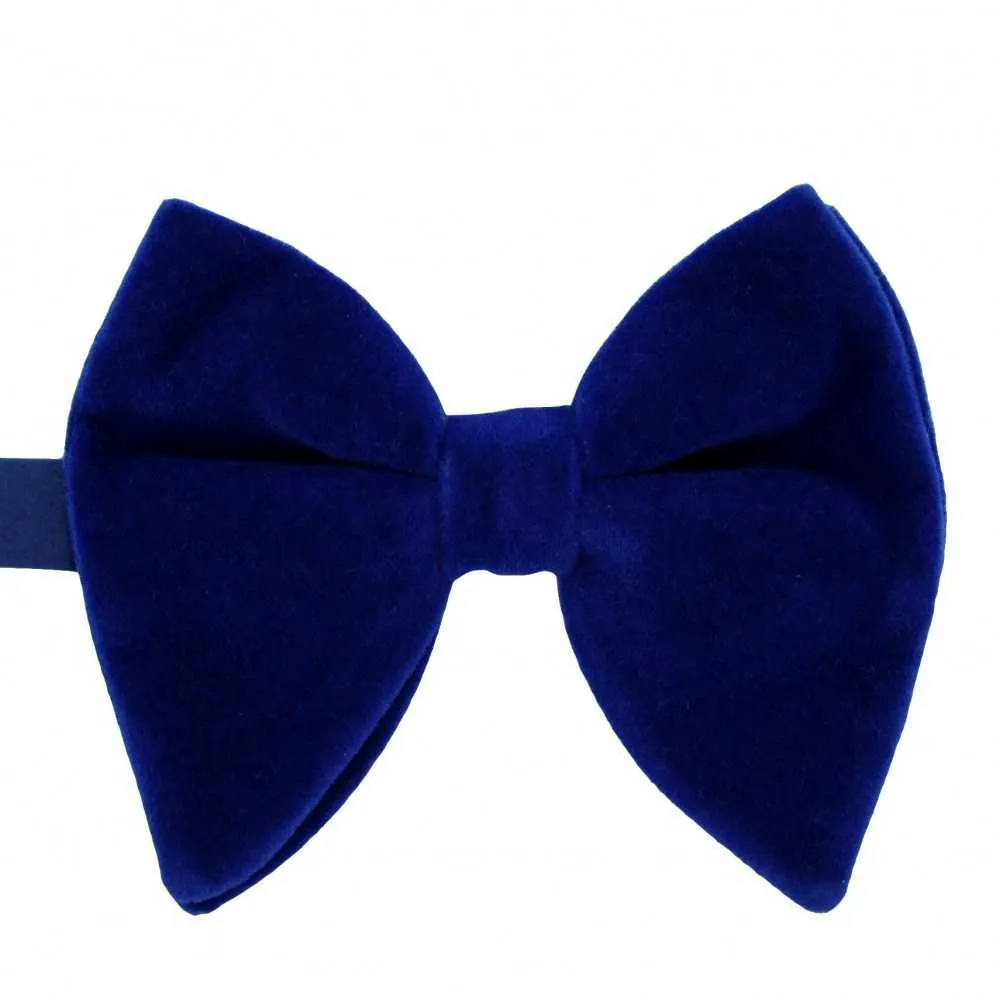 La Boutique De L'Image Primaire