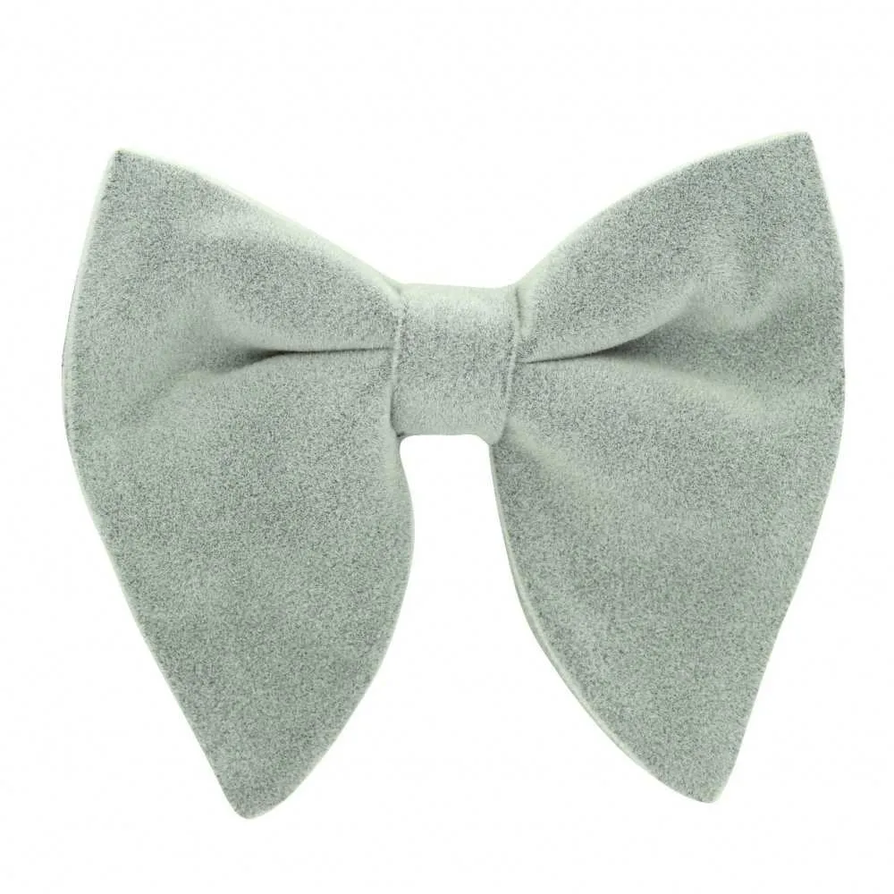 La Boutique De L'Image Primaire