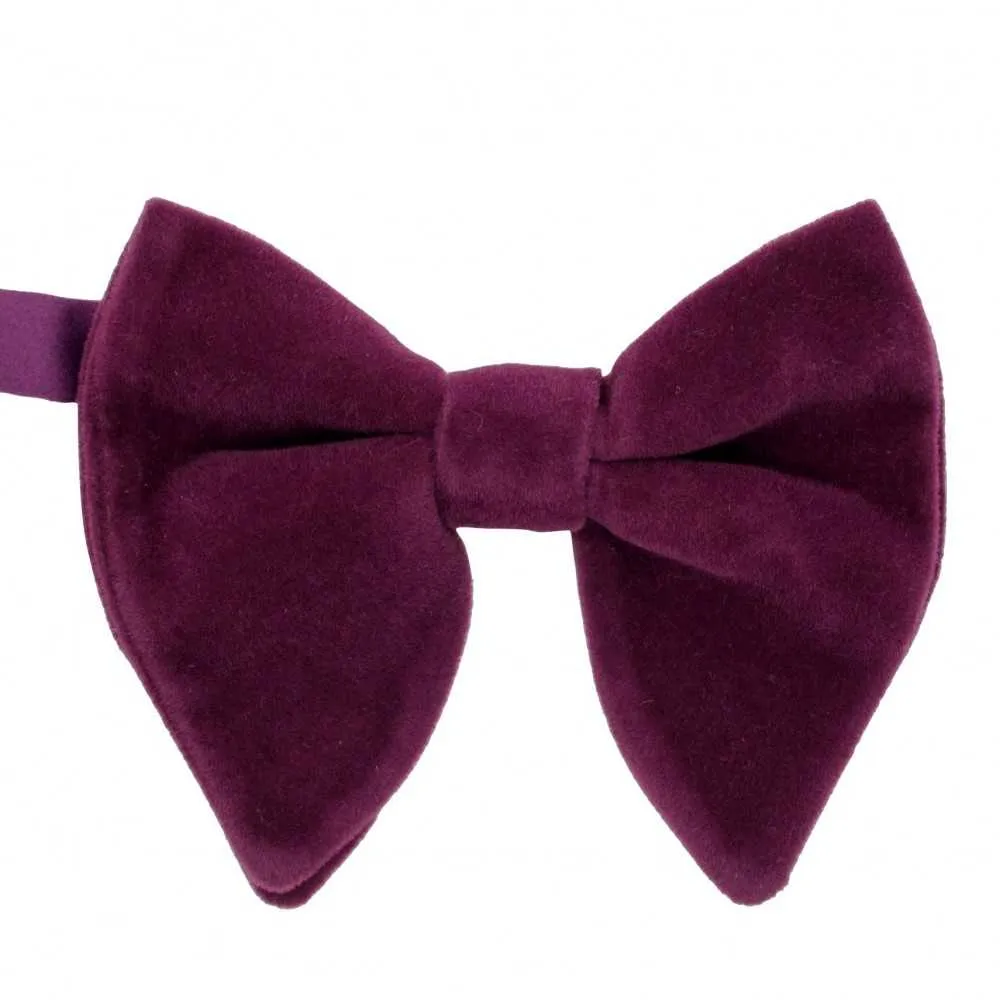 La Boutique De L'Image Primaire