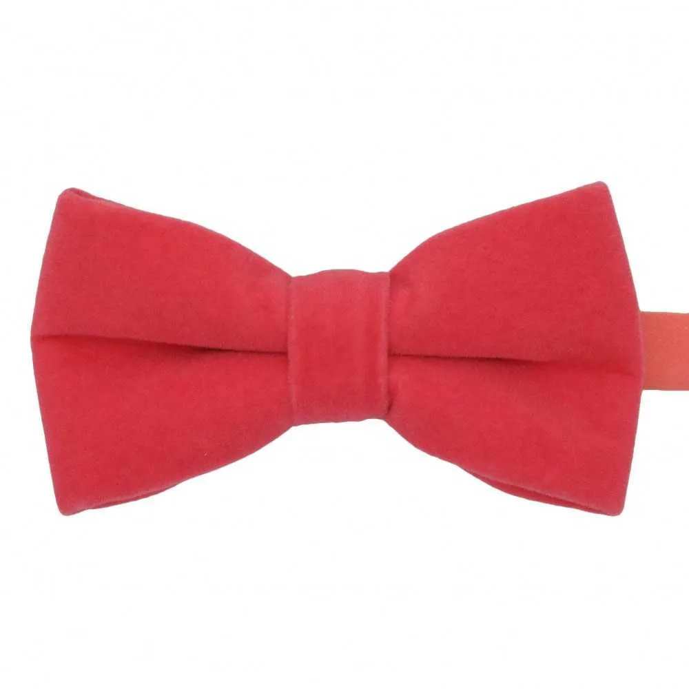 La Boutique De L'Image Primaire