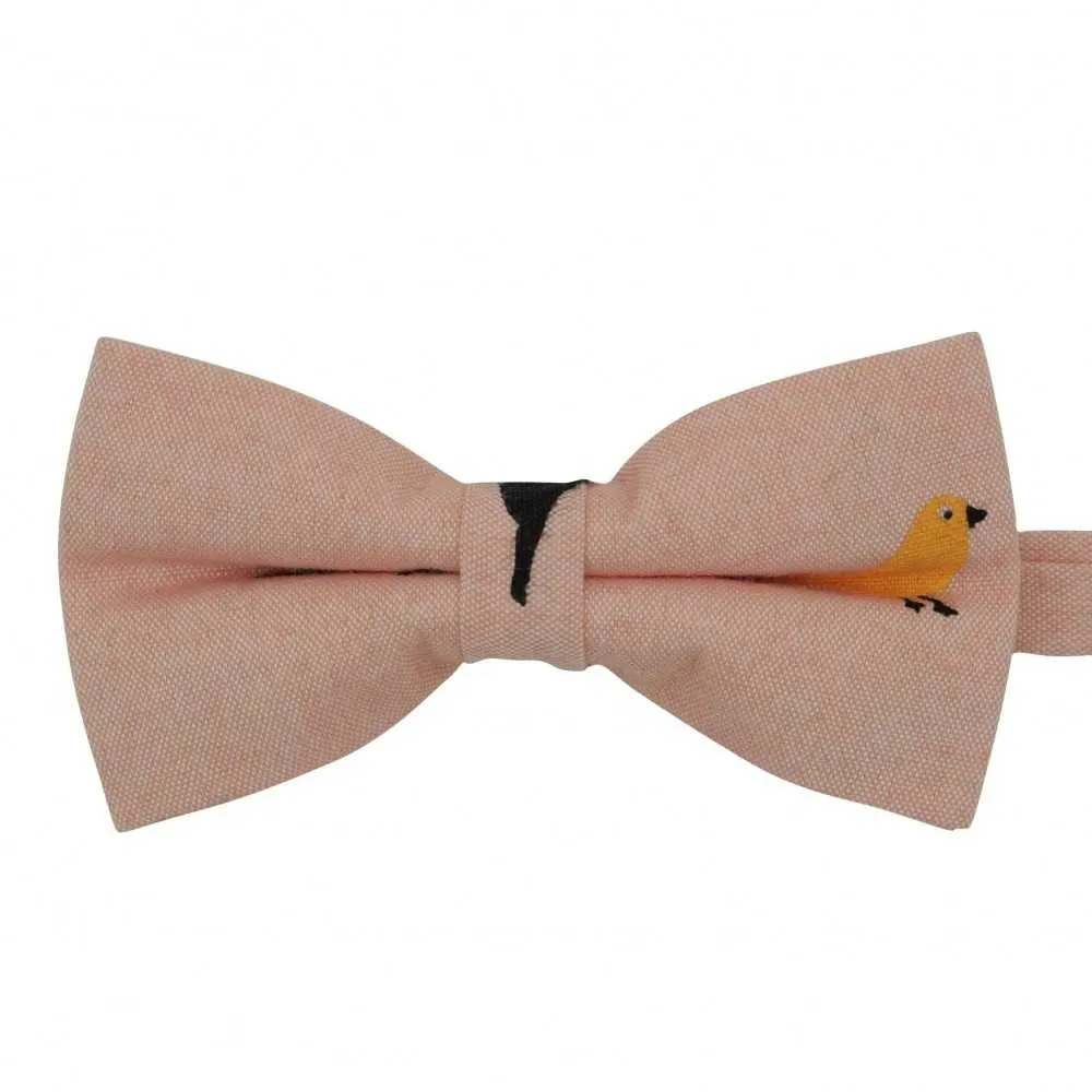 La Boutique De L'Image Primaire