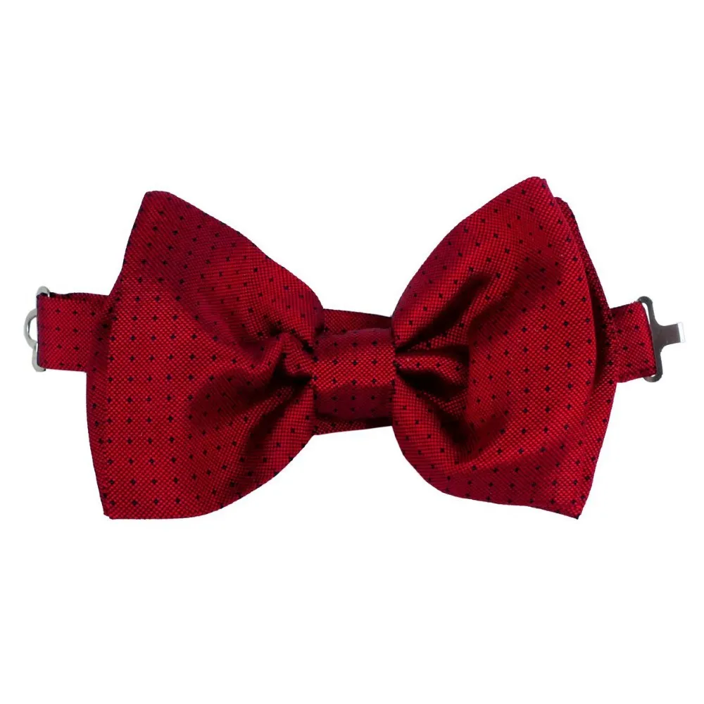 La Boutique De L'Image Primaire